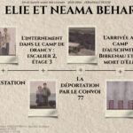 projet-terminale-hggsp